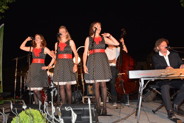 min 2015 06 05 bad ischl 158